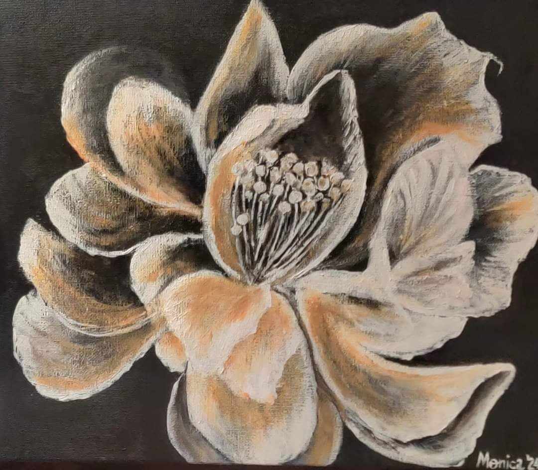 Transparenta