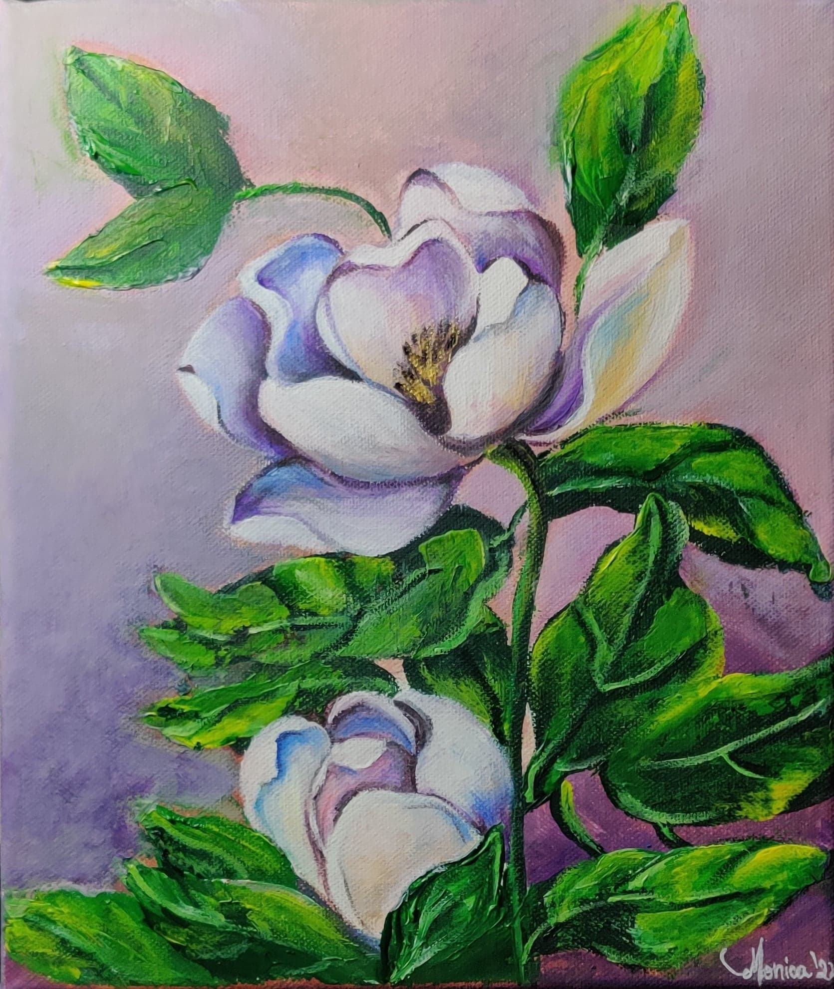Magnolii